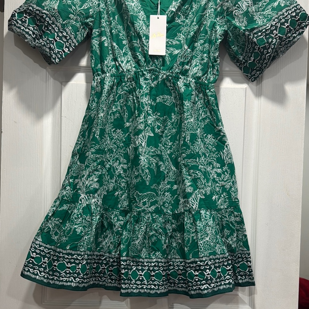 Lilly Pulitzer Green Floral Dress - Picture 4 of 9